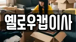 옐로우캡이사