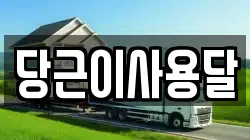 당근이사용달
