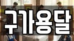 강원 강릉시 회산동 이사,포장이사,반포장이사,원룸이사,사무실이사,용달이사,전국이사,보관이사