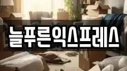 늘푸른익스프레스