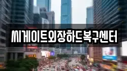 씨게이트외장하드복구센터