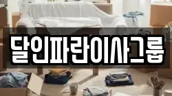 달인파란이사그룹