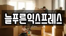 늘푸른익스프레스