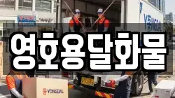 영호용달화물