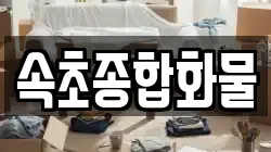 속초종합화물