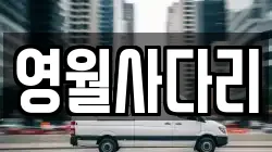 영월사다리