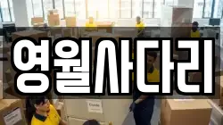 영월사다리
