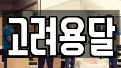 고려용달
