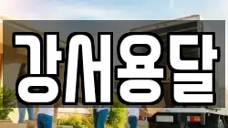 강서용달