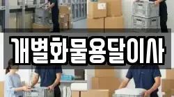 개별화물용달이사