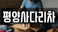 평양사다리차