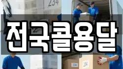 전국콜용달