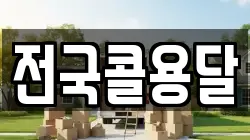 전국콜용달