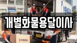 개별화물용달이사