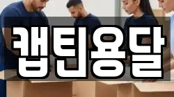 캡틴용달