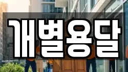 개별용달