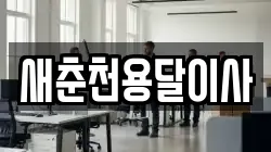 새춘천용달이사