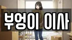 부엉이 이사
