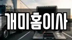 개미홈이사