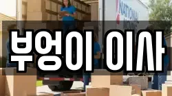 부엉이 이사
