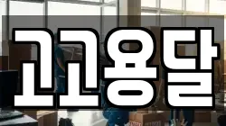 고고용달