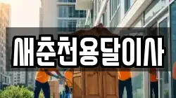새춘천용달이사