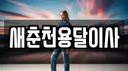 새춘천용달이사