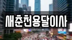 새춘천용달이사
