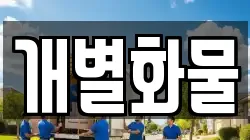 개별화물