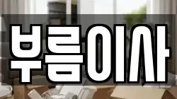 부름이사