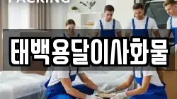 태백용달이사화물