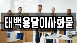 태백용달이사화물