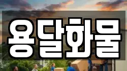 용달화물