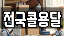 전국콜용달