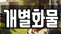 개별화물