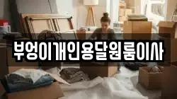 부엉이개인용달원룸이사