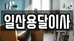일산용달이사