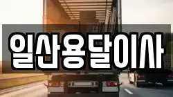 일산용달이사