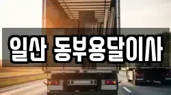 일산 동부용달이사
