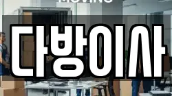 다방이사