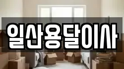 일산용달이사