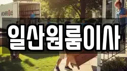 일산원룸이사