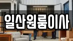 일산원룸이사