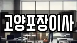 고양포장이사