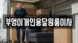 부엉이개인용달원룸이사