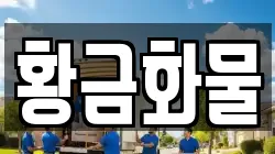 황금화물