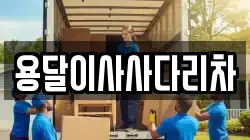 용달이사사다리차