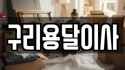 구리용달이사