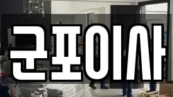 군포이사