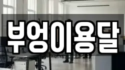 부엉이용달